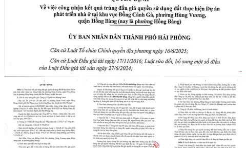 Hải Phòng công nhận kết quả trúng đấu giá đất tại khu Đồng Cánh Gà - Yêu cầu Công ty Cổ phần An Khang Land thực hiện nghiêm quy định pháp luật tại dự án