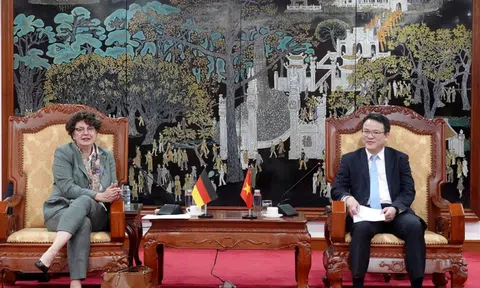 Việt Nam – Đức thúc đẩy hợp tác phát triển