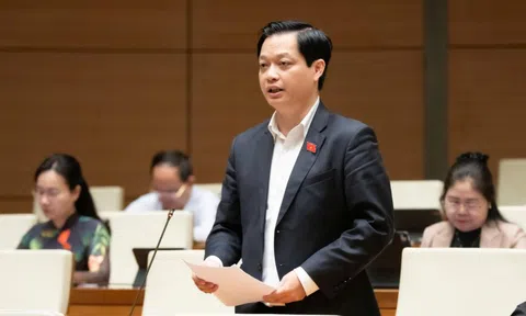 Gỡ vướng pháp lý cho điện gió ngoài khơi: 5 điểm nghẽn và giải pháp thu hút tư nhân