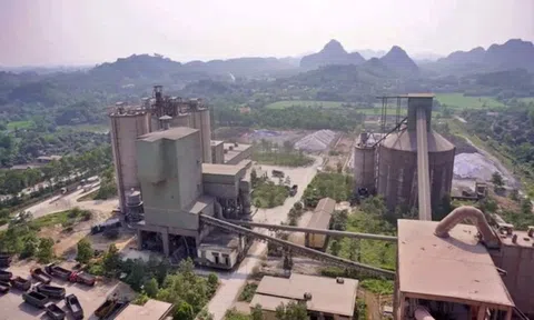 Kiến nghị giao Bộ Công an tiếp nhận hồ sơ vụ việc có dấu hiệu hình sự tại dự án nhà máy xi măng Quang Sơn