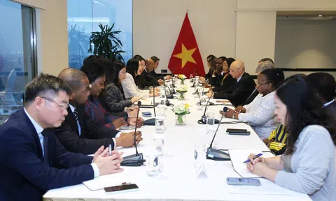 Cảm nhận của các Đại sứ không thường trú khi dự Đại hội XIV của Đảng