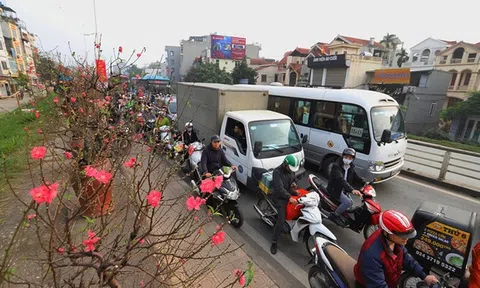 Thủ tướng Chính phủ chỉ đạo tăng cường phương tiện vận tải dịp Tết, không để xảy ra hiện tượng chèn ép giá