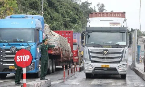 Tạm dừng áp dụng Nghị định số 46 về an toàn thực phẩm đến hết ngày 15/4/2026