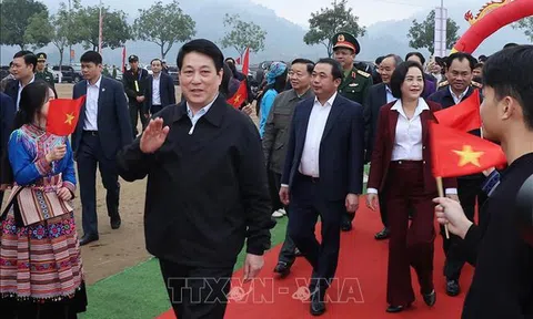 Chủ tịch nước dự lễ phát động Tết trồng cây năm 2026