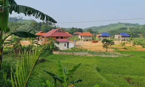 Chủ cũ vi phạm đất đai, chủ mới có phải khắc phục hậu quả?