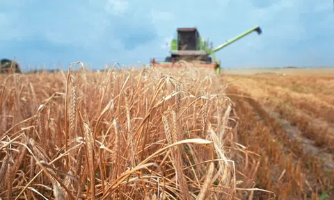 Áp lực từ năng lượng và xung đột Trung Đông