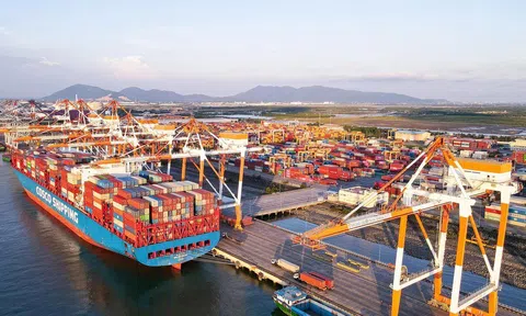 Đồng hành để vươn xa