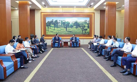 Phú Thọ “trải thảm đỏ” cho Meiko: Tăng tốc hạ tầng điện, mở “luồng xanh” cho dự án công nghệ cao