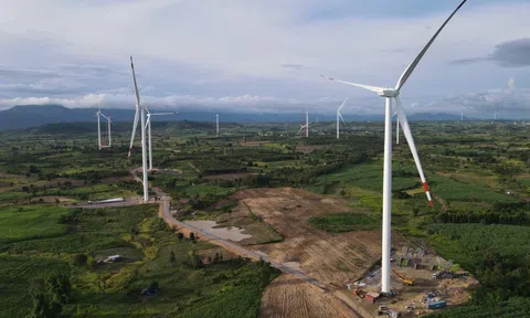 Nhiều “nút thắt” pháp lý tại hai dự án điện gió Yang Trung và Chơ Long: Từ vi phạm đất lâm nghiệp đến cuộc đua hoàn thành trước hạn
