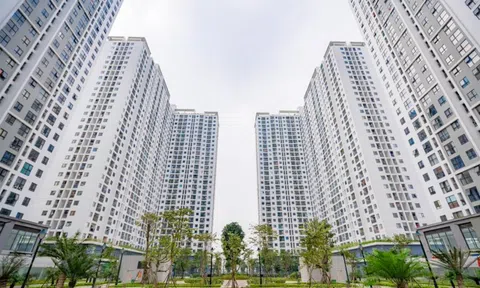 Lao động tự do xác nhận thu nhập mua nhà ở xã hội ở đâu?