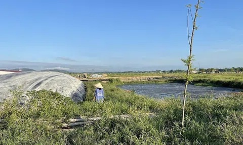 Hà Tĩnh: Tự ý chuyển đổi dự án nuôi bò sang nuôi lợn, doanh nghiệp bị phạt hơn 1 tỷ đồng