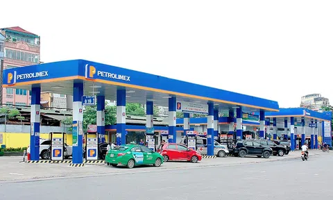 Petrolimex Hà Nội giải trình cổ phiếu PJC bị đưa vào diện cảnh báo là do lỗi khách quan