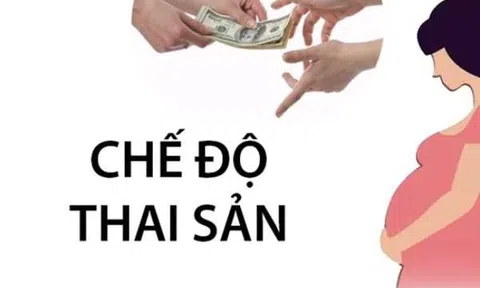 Chế độ thai sản