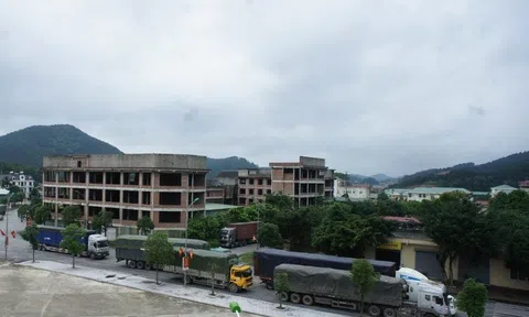 Doanh nghiệp vi phạm tại cửa khẩu Chi Ma - Lạng Sơn: Sai phạm nhiều, xử lý ít