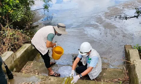 Thừa Thiên - Huế: Cá chết bất thường, nghi doanh nghiệp xả thải