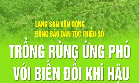 Infographic: Lạng Sơn vận động đồng bào DTTS trồng rừng ứng phó với BĐKH