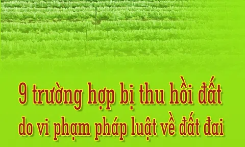 Inforgraphic: 9 trường hợp bị thu hồi đất do vi phạm pháp luật về đất đai