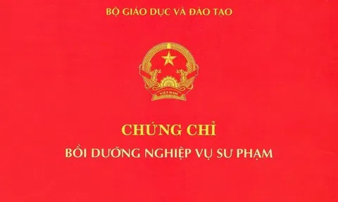 Quản lý chặt chẽ phôi chứng chỉ nghiệp vụ sư phạm