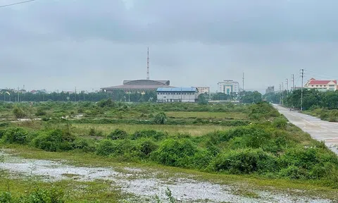 Khu đất “vàng” nghìn tỷ ở Ninh Bình: Bỏ hoang do mập mờ đấu giá?