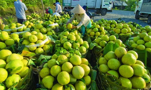 Vận động người Việt Nam ưu tiên dùng hàng Việt Nam