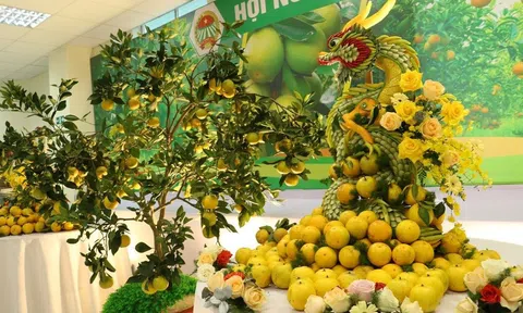 Hà Tĩnh mở rộng thị trường, tạo đầu ra ổn định cho sản phẩm cam