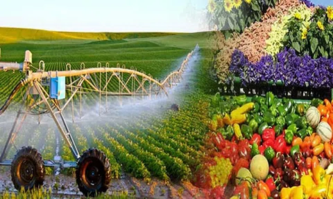 Nông nghiệp Việt Nam xây dựng hệ thống thực phẩm xanh