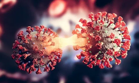 Tranh cãi về biến thể virus lai giữa Delta và Omicron