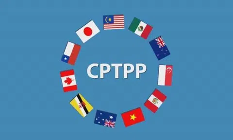 Sửa đổi hướng dẫn đấu thầu mua sắm theo Hiệp định CPTPP