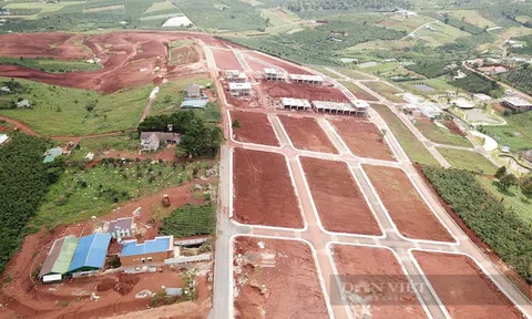 Lâm Đồng: Yêu cầu thực hiện nghiêm túc các hoạt động kinh doanh bất động sản