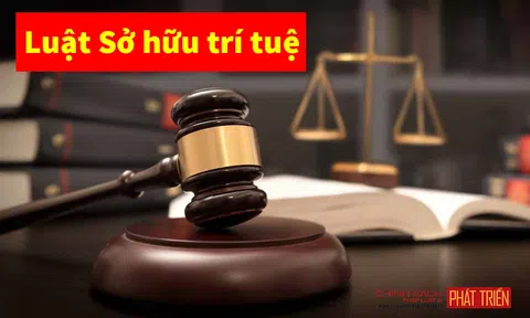 Sửa đổi Luật Sở hữu trí tuệ: Trên đường về đích