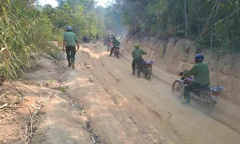 Đắk Lắk: Bắt tạm giam nhân viên quản lý bảo vệ rừng nhận hối lộ của "lâm tặc"
