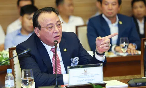 Bắt tạm giam ông Đỗ Anh Dũng, chủ tịch Tập đoàn Tân Hoàng Minh