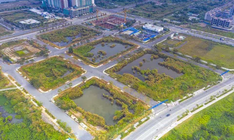 Thủ tướng Chính phủ ra công điện chấn chỉnh hoạt động đấu giá quyền sử dụng đất