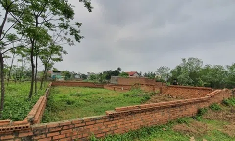 Vùng ven Hà Nội đã lặng sóng