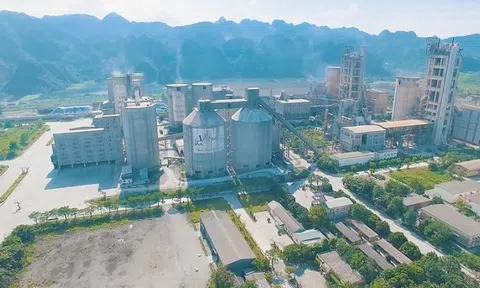 Chứng khoán ACB muốn thoái vốn khỏi Xi măng Vicem Bút Sơn
