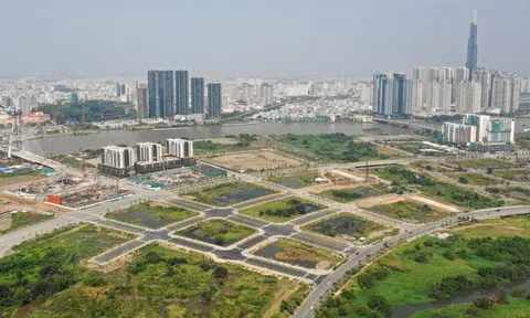 4 nhà đầu tư "bỏ của chạy lấy người": Bài học về lỗ hổng đấu giá đất