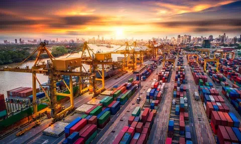 Tương lai nào cho ngành logistics tại Việt Nam?