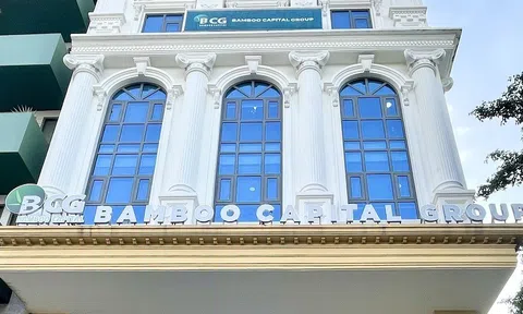 Bamboo Capital đã phát hành thêm hơn 25 triệu cổ phiếu mới