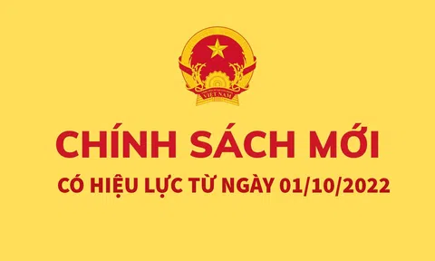 Chính sách về tiền lương, bảo hiểm có có hiệu lực từ tháng 10