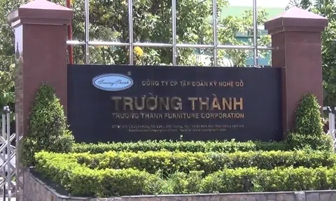Gỗ Trường Thành bị xử phạt vi phạm hành chính 150 triệu đồng