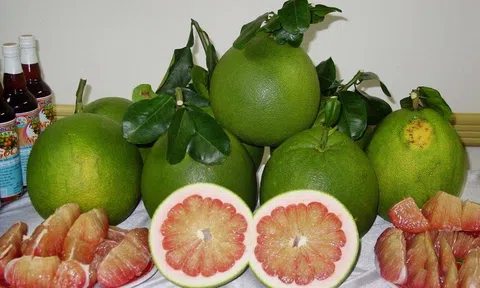 Lô bưởi da xanh đầu tiên xuất Mỹ
