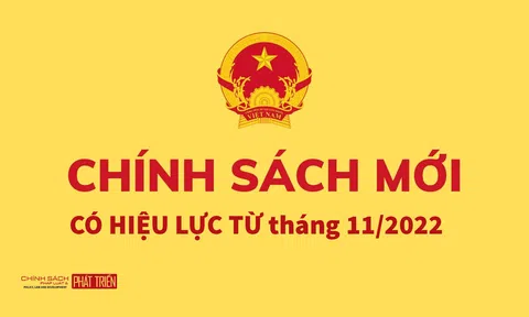 Một số chính sách kinh tế mới có hiệu lực từ tháng 11 tới