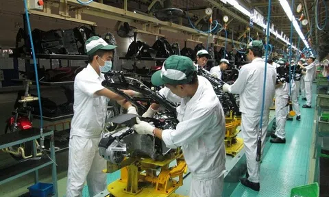 Xuất nhập khẩu của doanh nghiệp FDI đạt gần 430 tỷ USD
