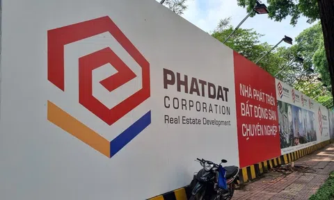 Giảm sàn 5 phiên, Phát Đạt khẳng định vẫn hoạt động bình thường