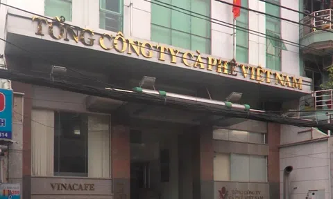 Thanh tra Chính phủ chỉ ra sai phạm của 7 đơn vị thành viên Vinacafe