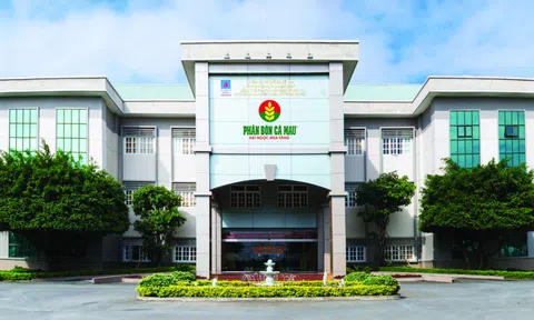 Đạm Cà Mau bị xử phạt và truy thu thuế gần 6,2 tỷ đồng