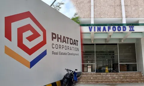 Phát Đạt nói không liên quan đến Tổng Công ty Lương thực Miền Nam