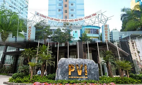 PVI, HDC thông báo đã nộp phạt vào Kho bạc Nhà nước