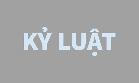 Thủ tướng kỷ luật 3 lãnh đạo UBND tỉnh Nam Định và Thứ trưởng Bộ GĐ&ĐT Nguyễn Hữu Độ