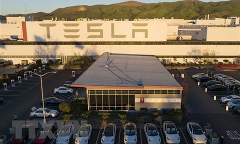Tesla triệu hồi gần 363.000 xe điện do công nghệ hỗ trợ người lái